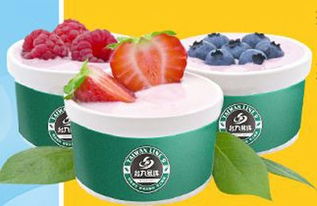 冰淇淋加盟热潮来袭 台九号线与饮品排行榜全解析